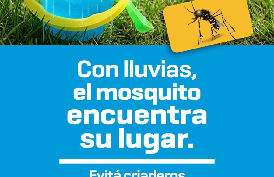 Evitemos la proliferación del mosquito