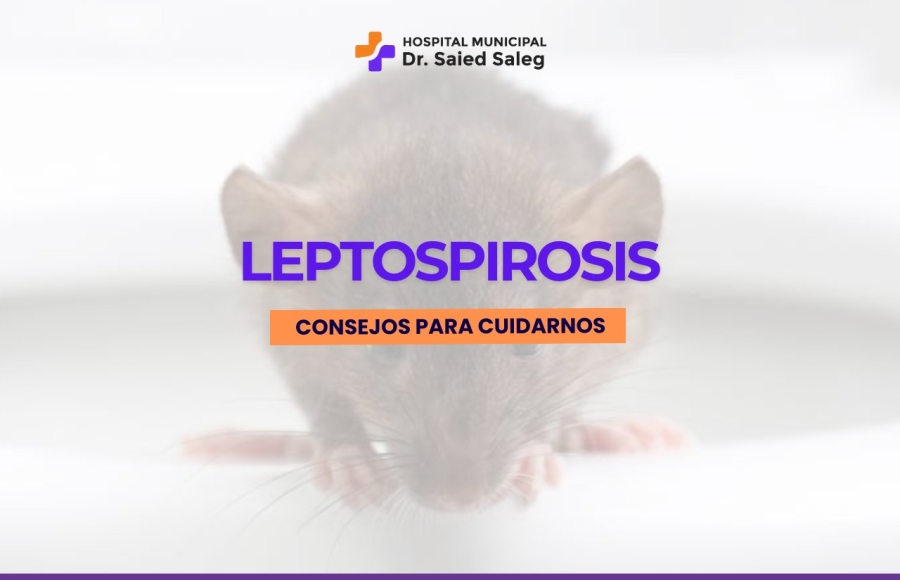 Consejos para prevenir la Leptospirosis