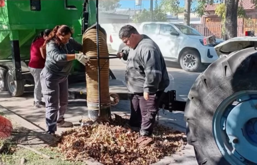Aspiradora de hojas en acción