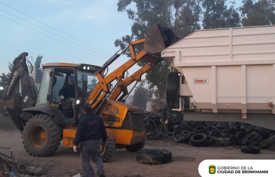 Brinkmann sigue trabajando por el medioambiente