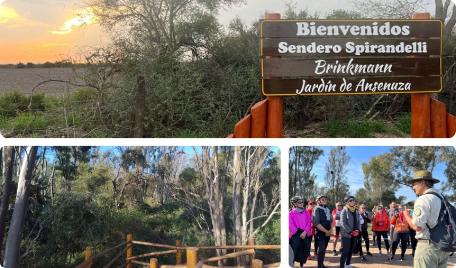 Bosque Spirandelli