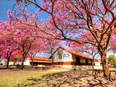 Brinkmann Jardin de Ansenuza