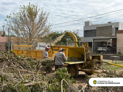 Continúa la recolección de ramas en toda la ciudad