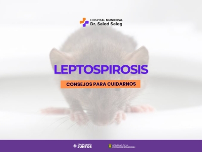 Consejos para prevenir la Leptospirosis