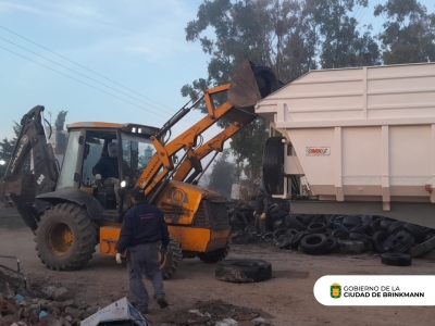 Seguimos trabajando por el medioambiente