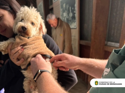 Otra exitosa jornada de vacunación antirrábica de mascotas